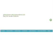Tablet Screenshot of ankarainternationalsacekimi.com